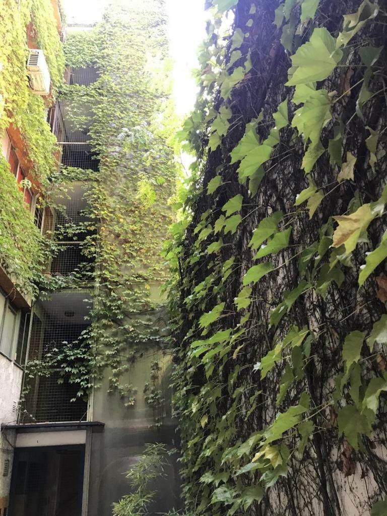 Departamento De 2 Dormitorios, Excelente Ubicacion Mendoza Exteriör bild